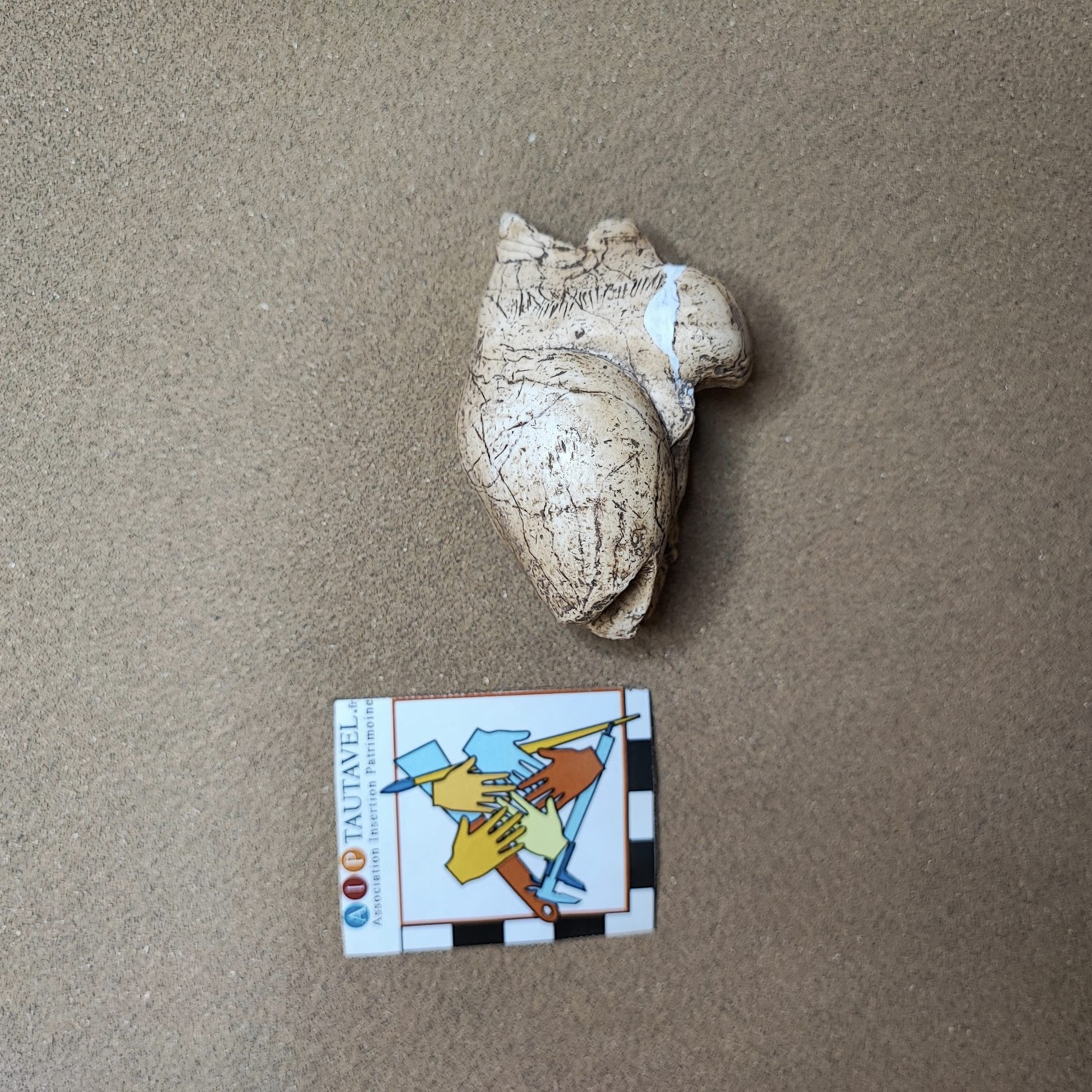 « La Poire », Brassempouy, Gravettien – Image 2