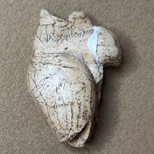 « La Poire », Brassempouy, Gravettien